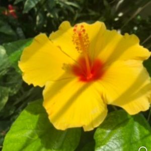 Meet your Posher, Camilla